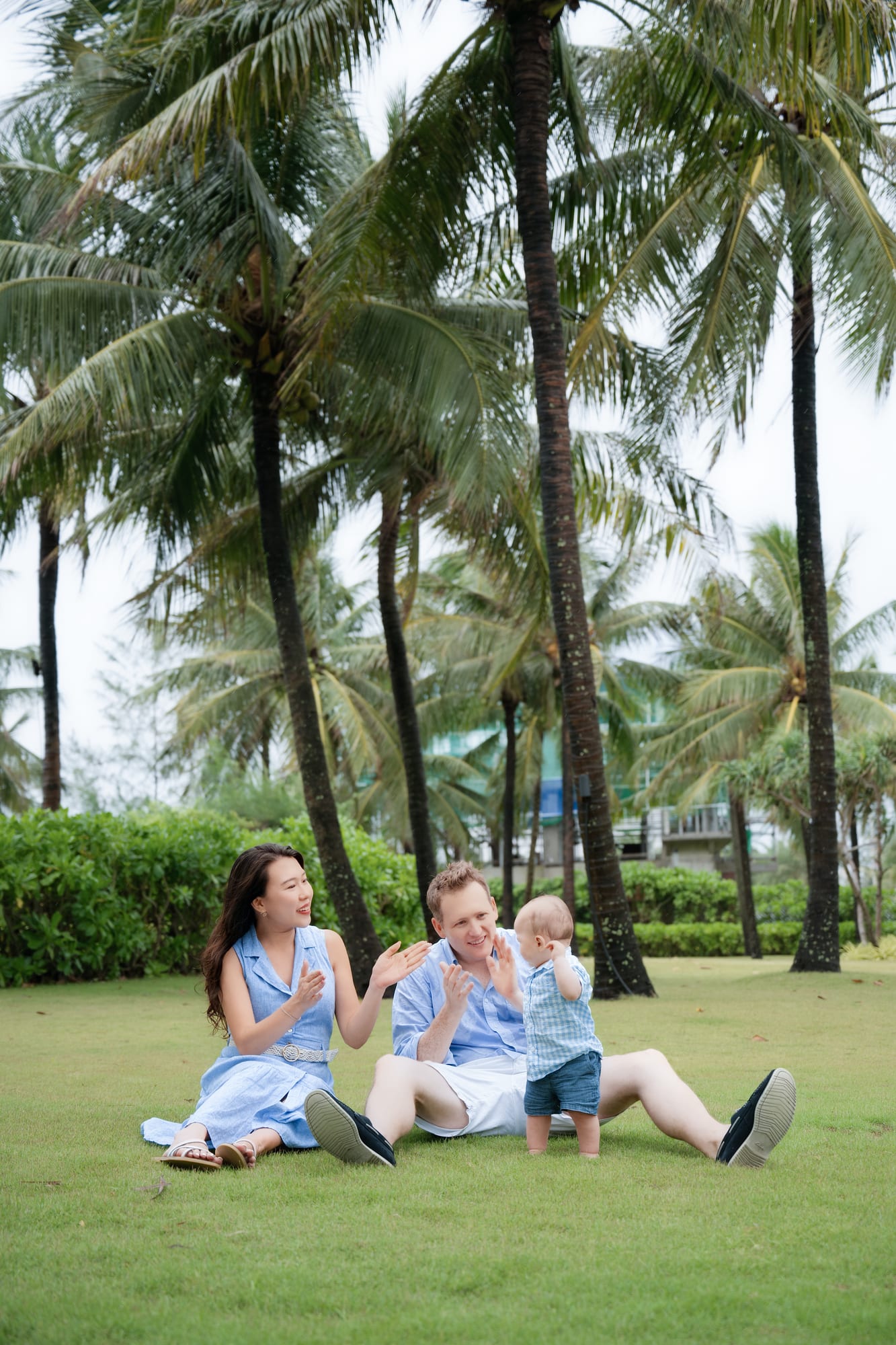 Dưới hàng dừa